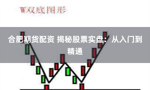 合肥期货配资 揭秘股票实盘：从入门到精通